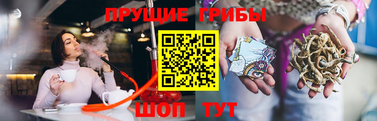 наркотики  Вход с VPN  Отрадный  Галлюциногенные грибы Psilocybine cubensis 